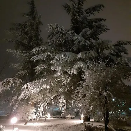 Prato 3*