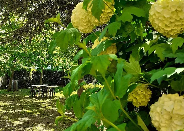 Prato Hotel 3*